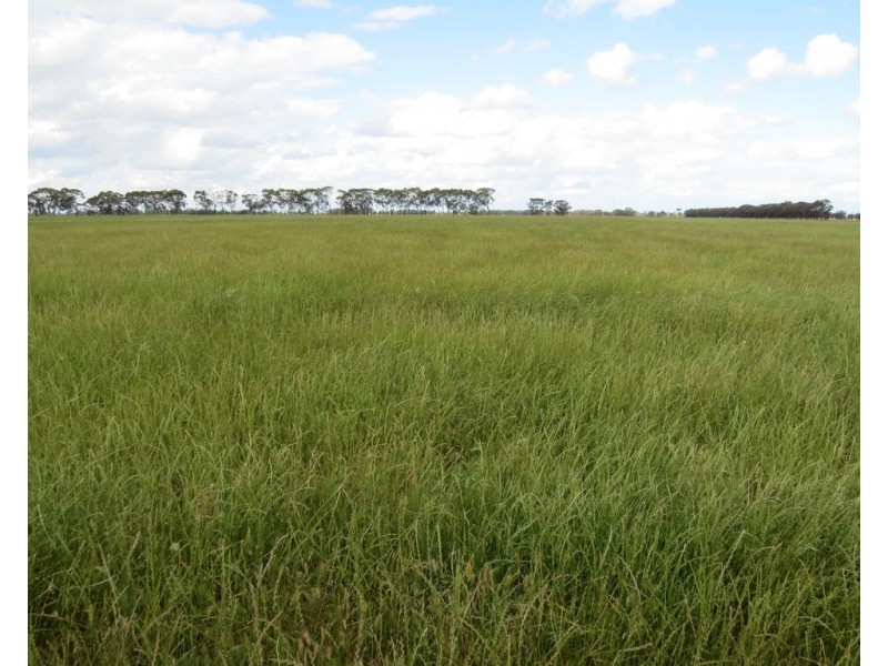 14 YALOKE ROAD, Deniliquin NSW 2710