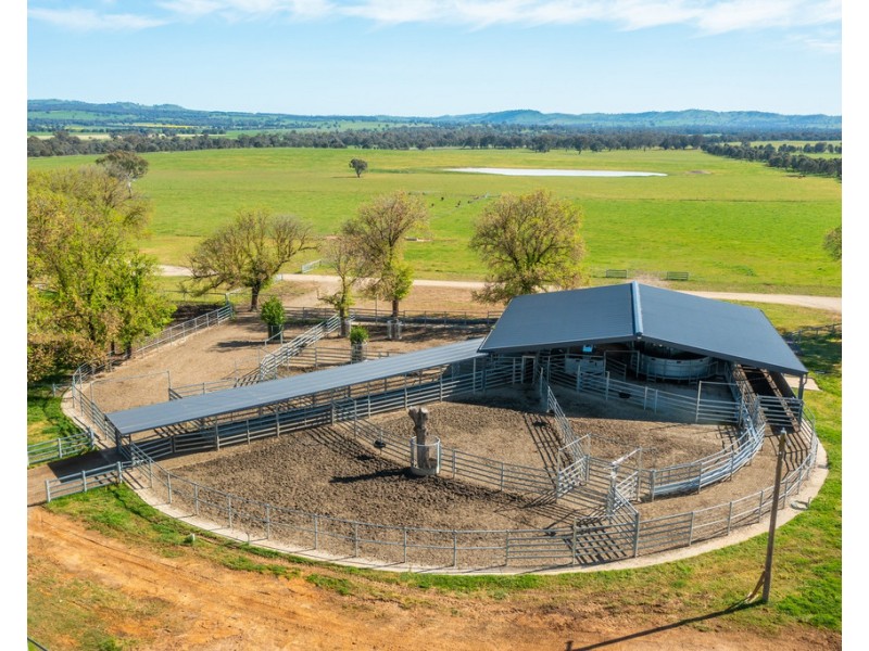 9985 Hume Highway, Holbrook NSW 2644