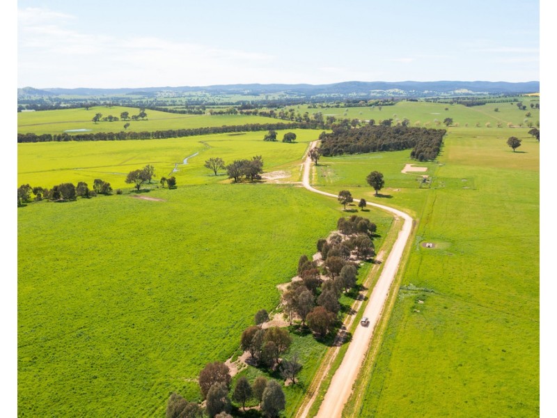 9985 Hume Highway, Holbrook NSW 2644