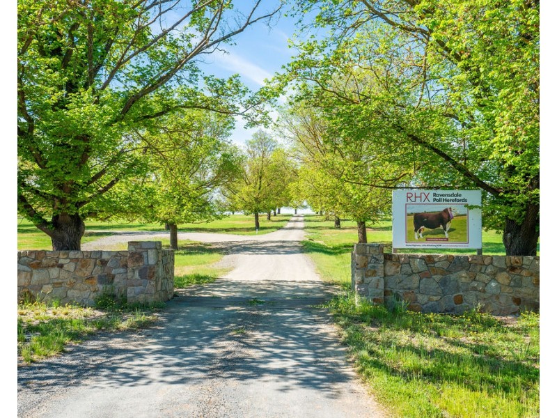 9985 Hume Highway, Holbrook NSW 2644