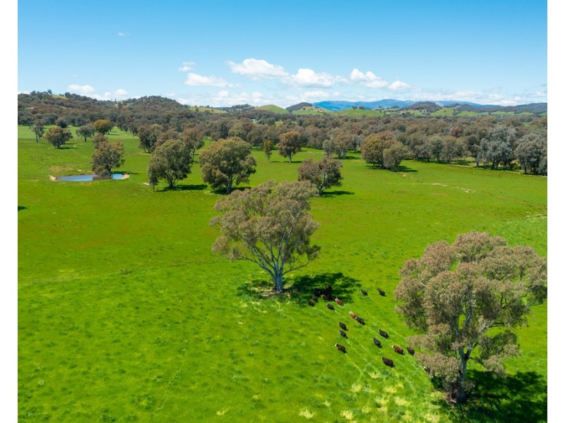 749 CARBOOR-EVERTON ROAD, Markwood VIC 3678