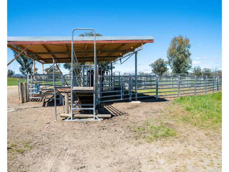 749 CARBOOR-EVERTON ROAD, Markwood VIC 3678