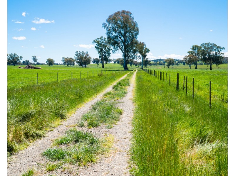 749 CARBOOR-EVERTON ROAD, Markwood VIC 3678