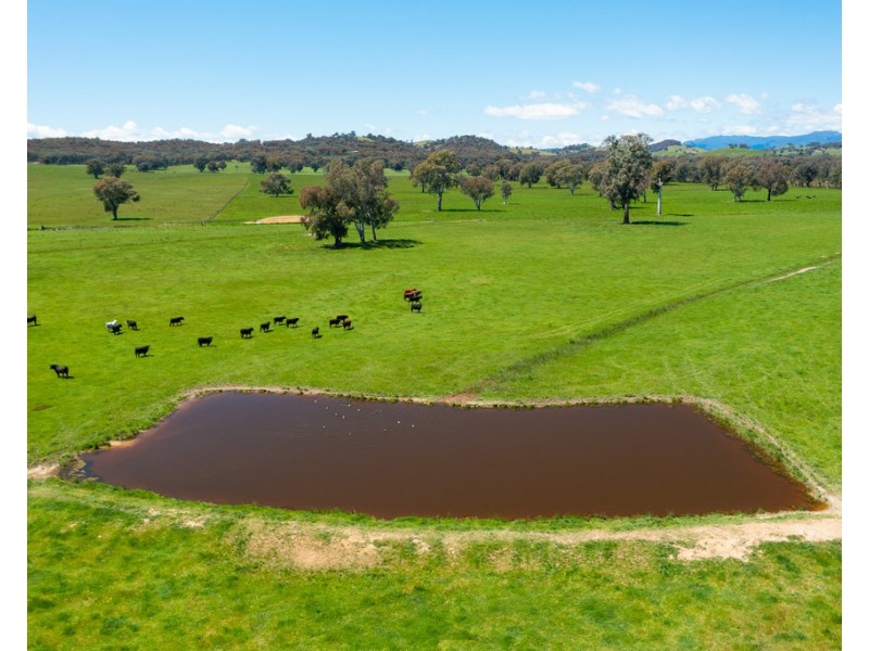 749 CARBOOR-EVERTON ROAD, Markwood VIC 3678