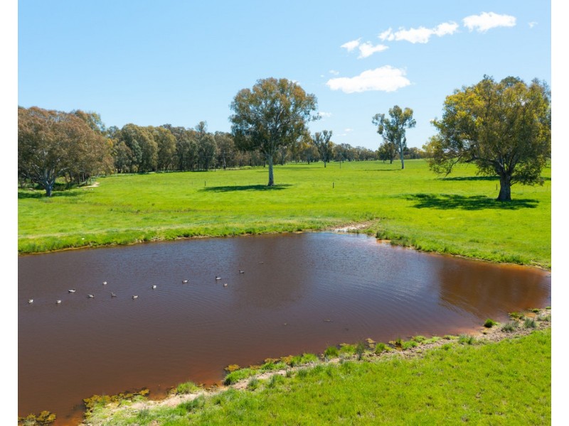 749 CARBOOR-EVERTON ROAD, Markwood VIC 3678