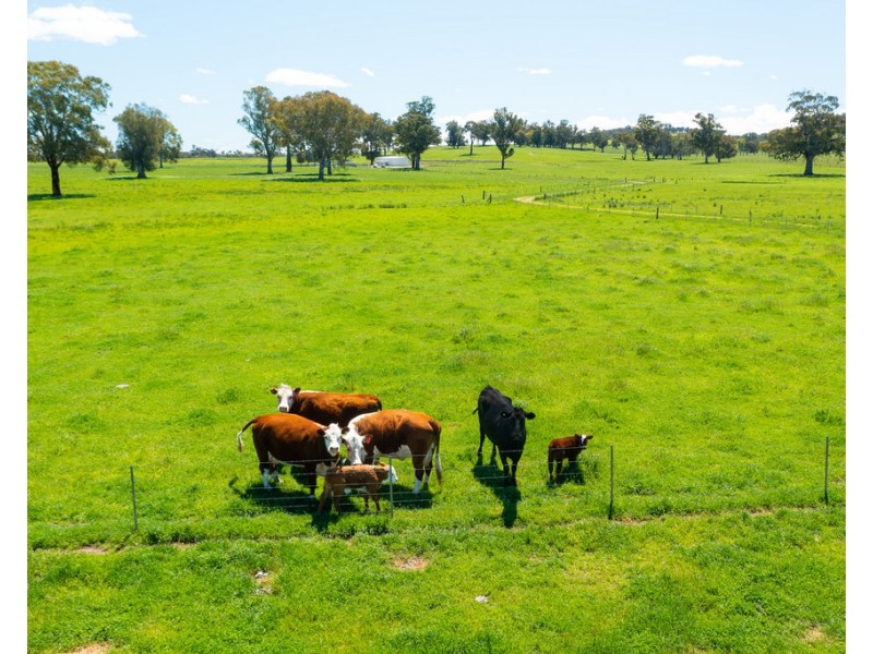 749 CARBOOR-EVERTON ROAD, Markwood VIC 3678