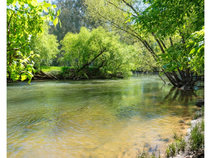 44 Kneebone Lane, Everton VIC 3678