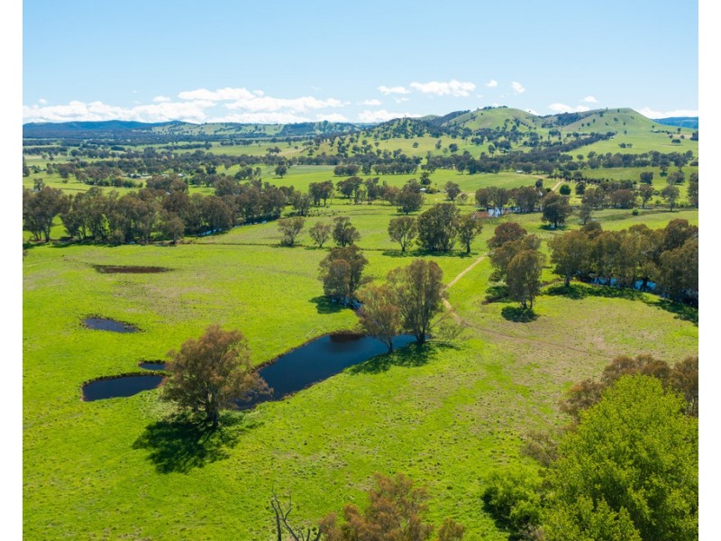 44 Kneebone Lane, Everton VIC 3678