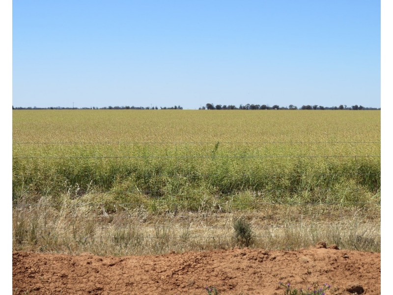 131 Plymouth Road, Bunnaloo NSW 2731