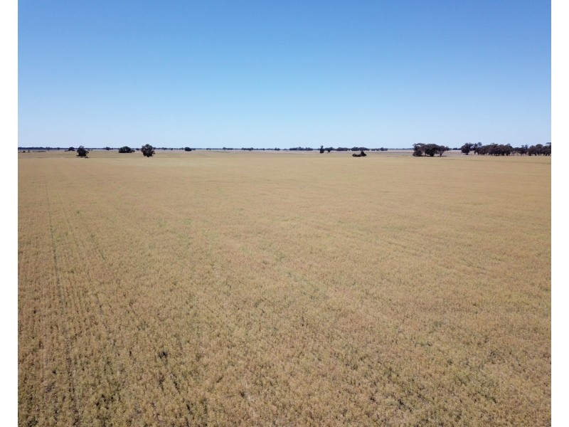 131 Plymouth Road, Bunnaloo NSW 2731