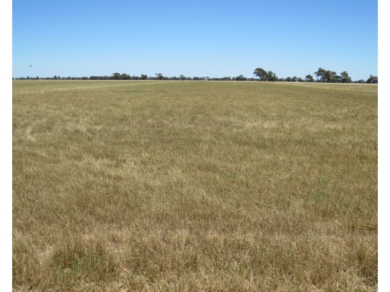 131 Plymouth Road, Bunnaloo NSW 2731