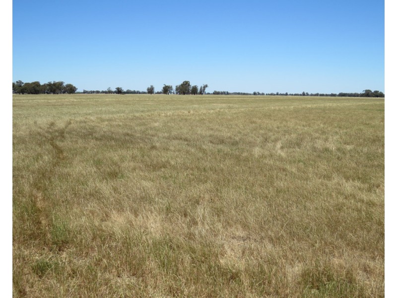 131 Plymouth Road, Bunnaloo NSW 2731