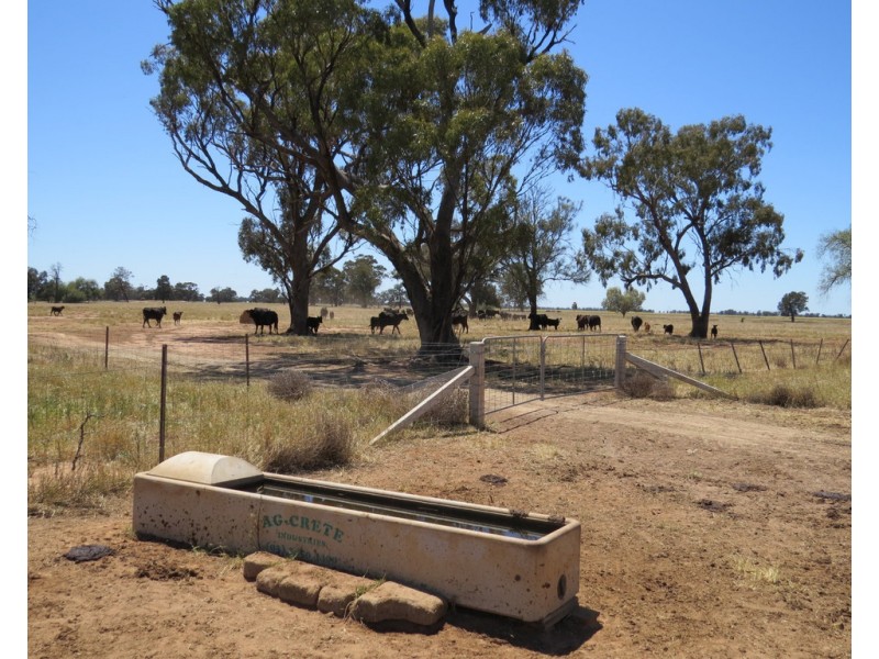 131 Plymouth Road, Bunnaloo NSW 2731