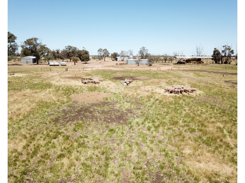 131 Plymouth Road, Bunnaloo NSW 2731