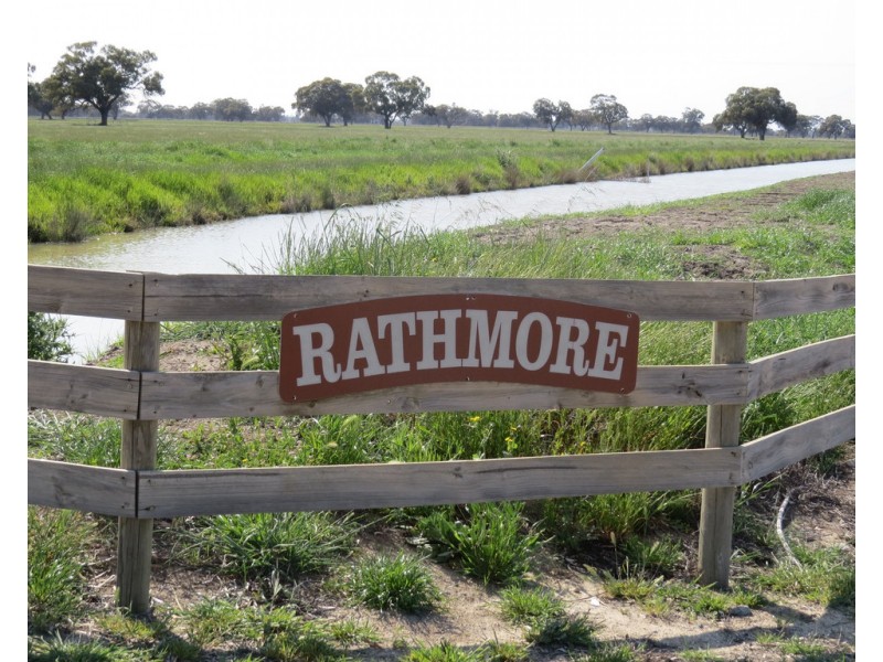 133 HATTWELL ROAD, Deniliquin NSW 2710