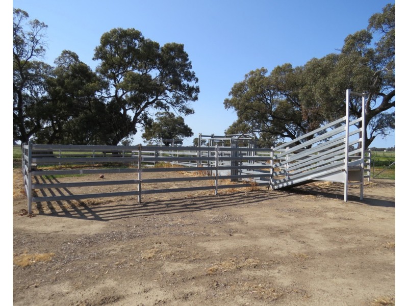 133 HATTWELL ROAD, Deniliquin NSW 2710