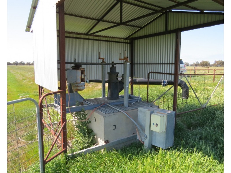 133 HATTWELL ROAD, Deniliquin NSW 2710