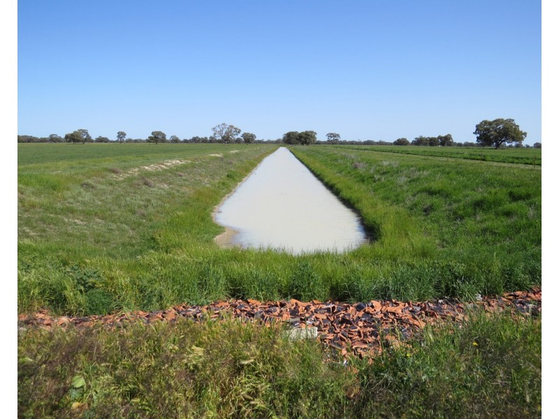 133 HATTWELL ROAD, Deniliquin NSW 2710