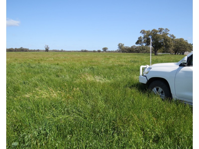 133 HATTWELL ROAD, Deniliquin NSW 2710