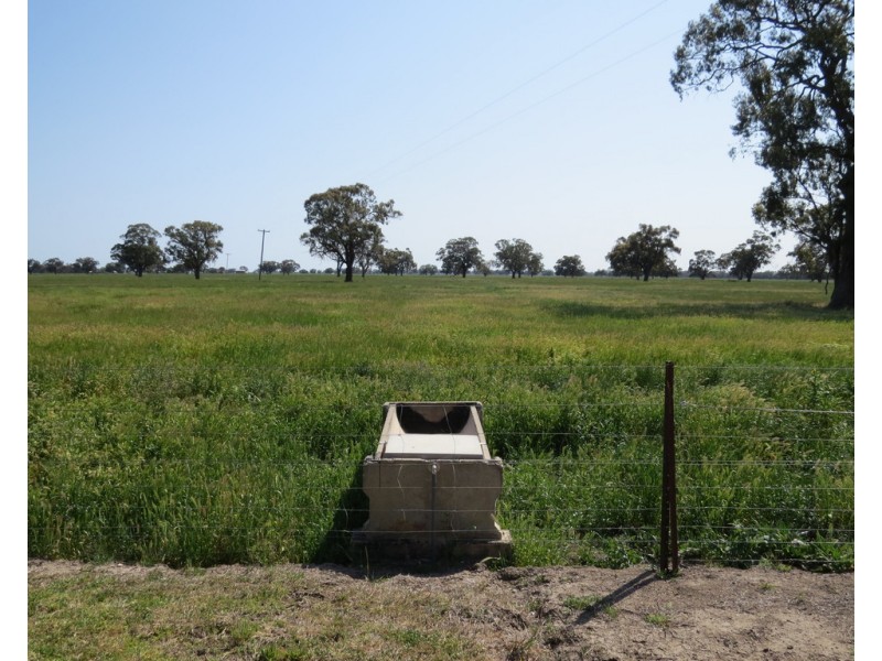 133 HATTWELL ROAD, Deniliquin NSW 2710