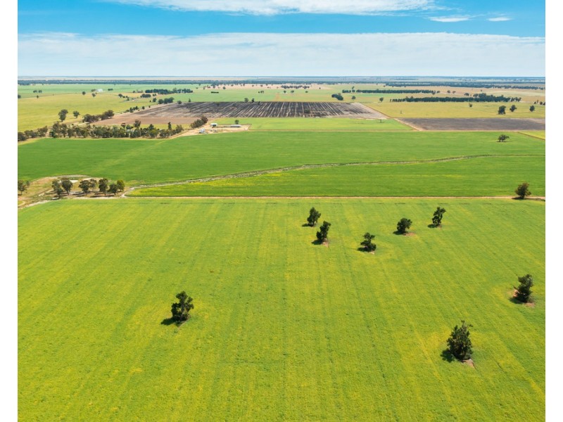 Oaklands NSW 2646