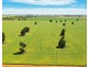 Oaklands NSW 2646