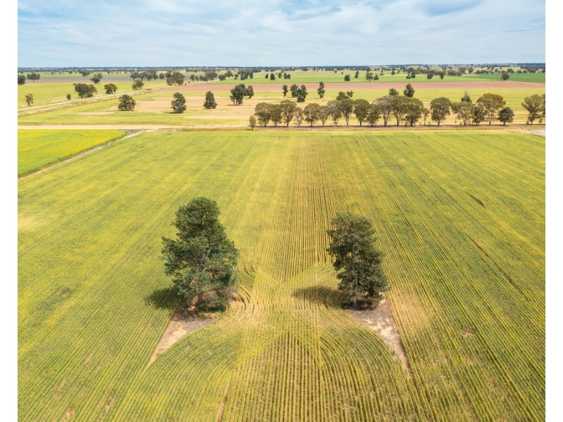 Oaklands NSW 2646