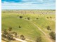 Oaklands NSW 2646