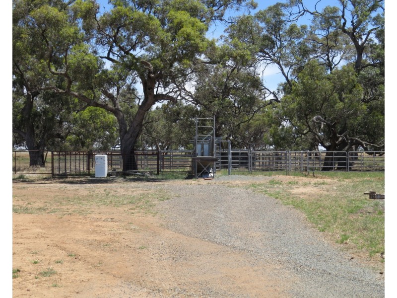 894 STUD PARK ROAD, Deniliquin NSW 2710