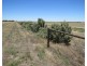 894 STUD PARK ROAD, Deniliquin NSW 2710