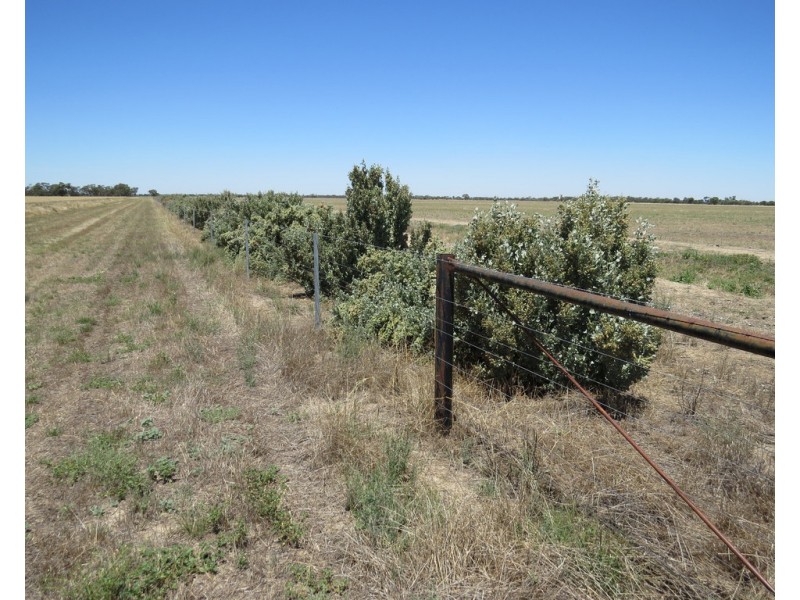 894 STUD PARK ROAD, Deniliquin NSW 2710
