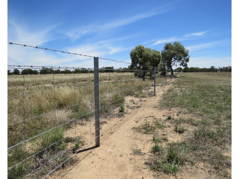 894 STUD PARK ROAD, Deniliquin NSW 2710