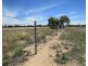 894 STUD PARK ROAD, Deniliquin NSW 2710