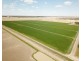 894 STUD PARK ROAD, Deniliquin NSW 2710