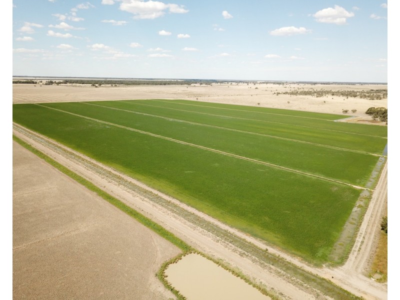 894 STUD PARK ROAD, Deniliquin NSW 2710