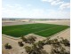 894 STUD PARK ROAD, Deniliquin NSW 2710