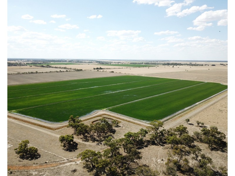 894 STUD PARK ROAD, Deniliquin NSW 2710