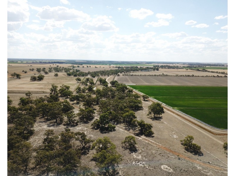 894 STUD PARK ROAD, Deniliquin NSW 2710