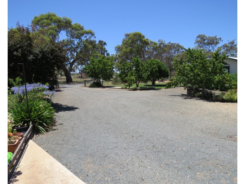 894 STUD PARK ROAD, Deniliquin NSW 2710