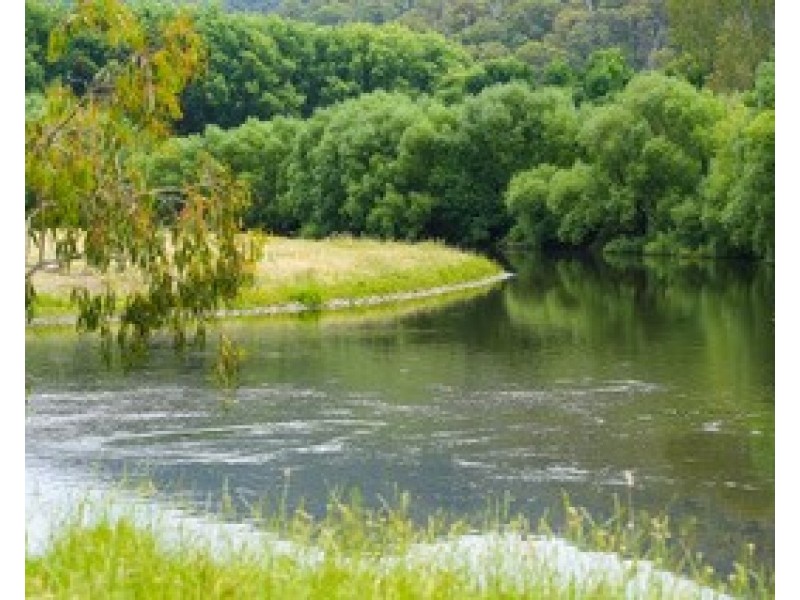 “Broadrib” Leys Road, Eskdale VIC 3701