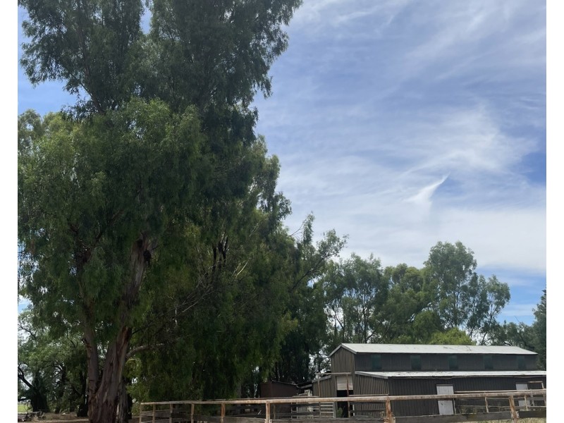 82 (RMB 2070) Pine lodge Rd, Tocumwal NSW 2714