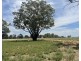 82 (RMB 2070) Pine lodge Rd, Tocumwal NSW 2714