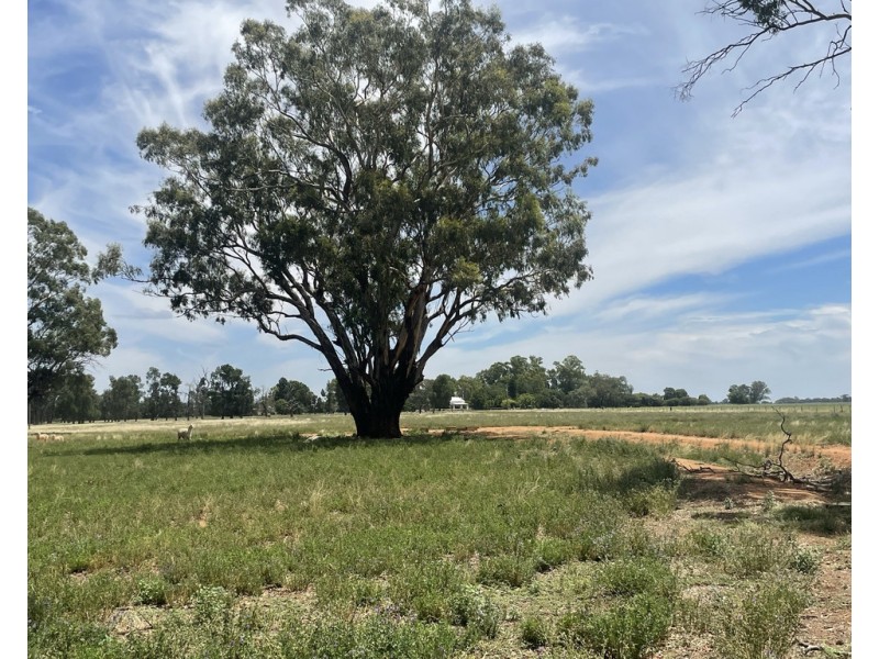 82 (RMB 2070) Pine lodge Rd, Tocumwal NSW 2714