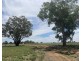 82 (RMB 2070) Pine lodge Rd, Tocumwal NSW 2714