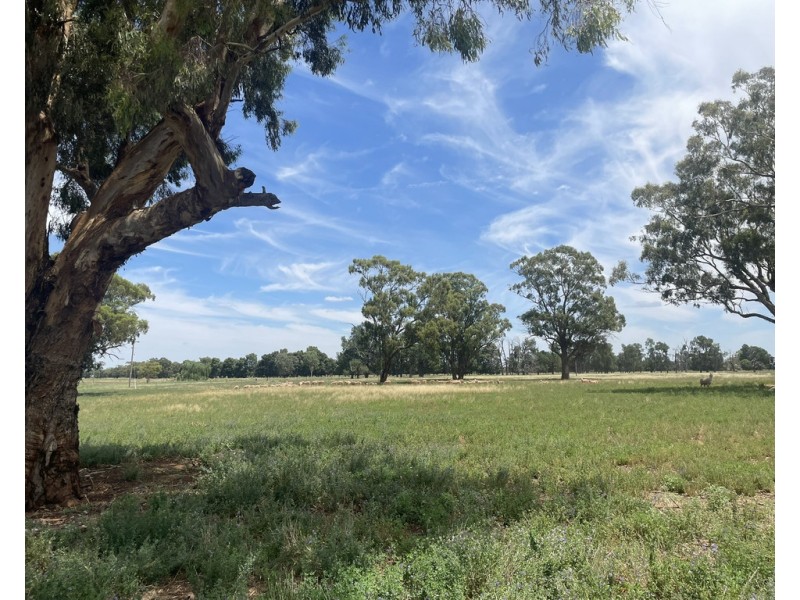 82 (RMB 2070) Pine lodge Rd, Tocumwal NSW 2714