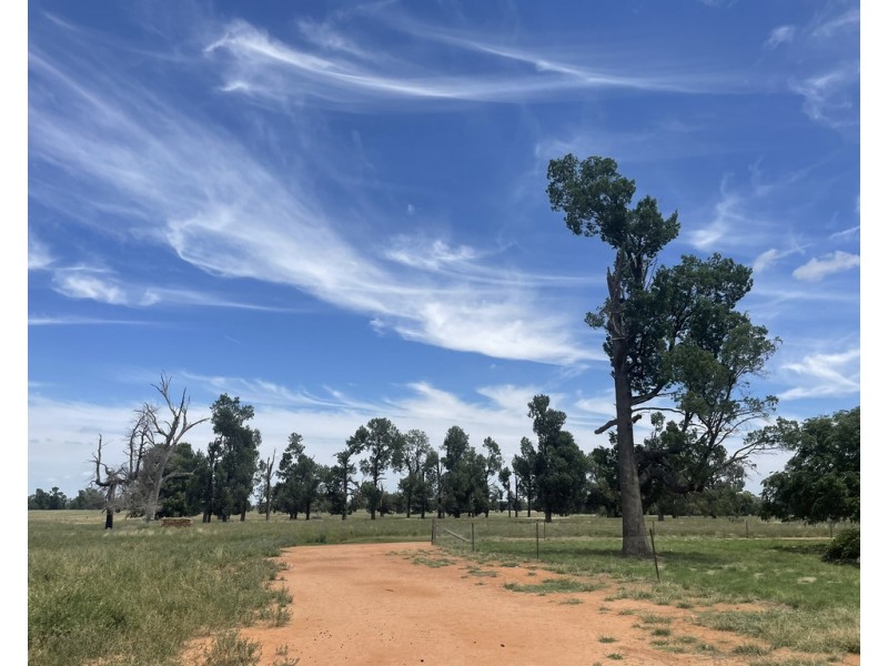 82 (RMB 2070) Pine lodge Rd, Tocumwal NSW 2714