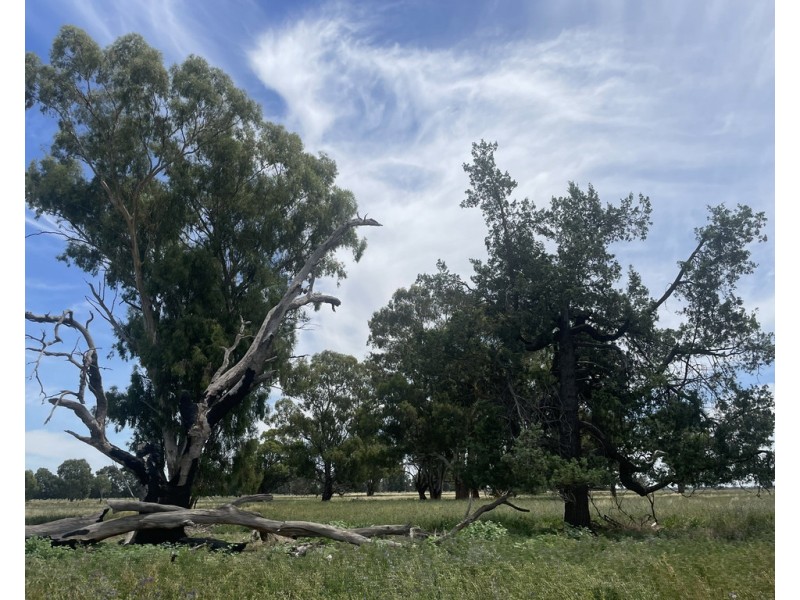 82 (RMB 2070) Pine lodge Rd, Tocumwal NSW 2714