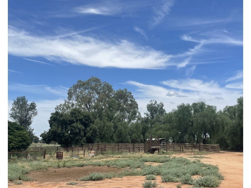 82 (RMB 2070) Pine lodge Rd, Tocumwal NSW 2714