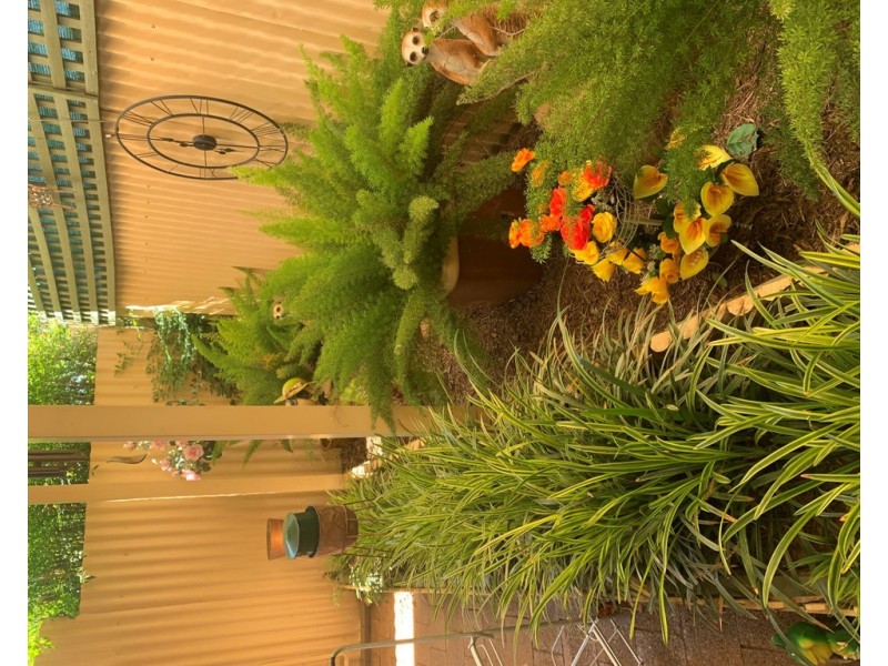 24 Ulupna Street, Finley NSW 2713