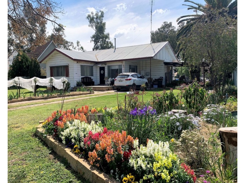 103 Wollamai Street, Finley NSW 2713